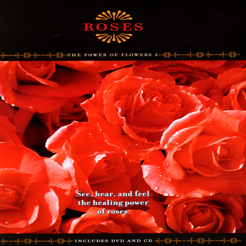 MillionRoses封面