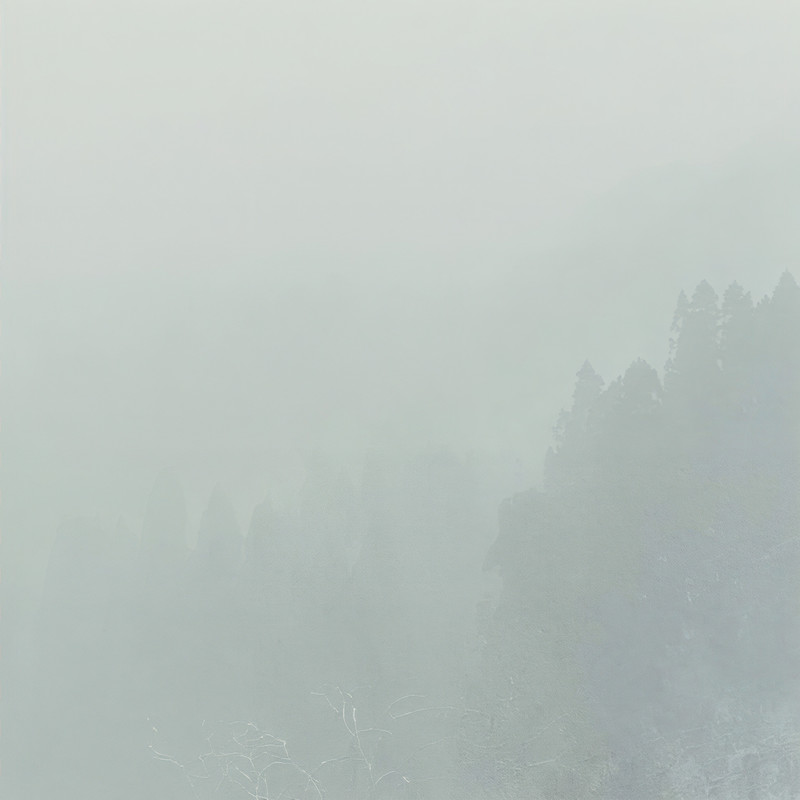 Toi封面