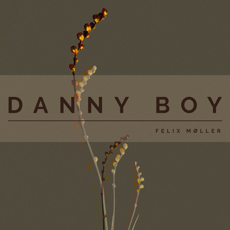 DannyBoy封面