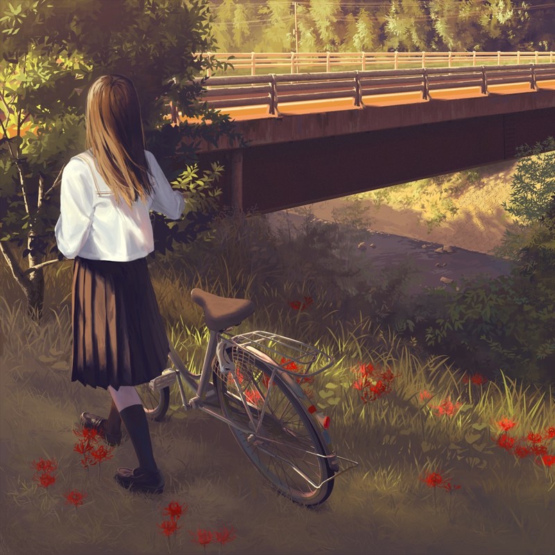 Stroll封面