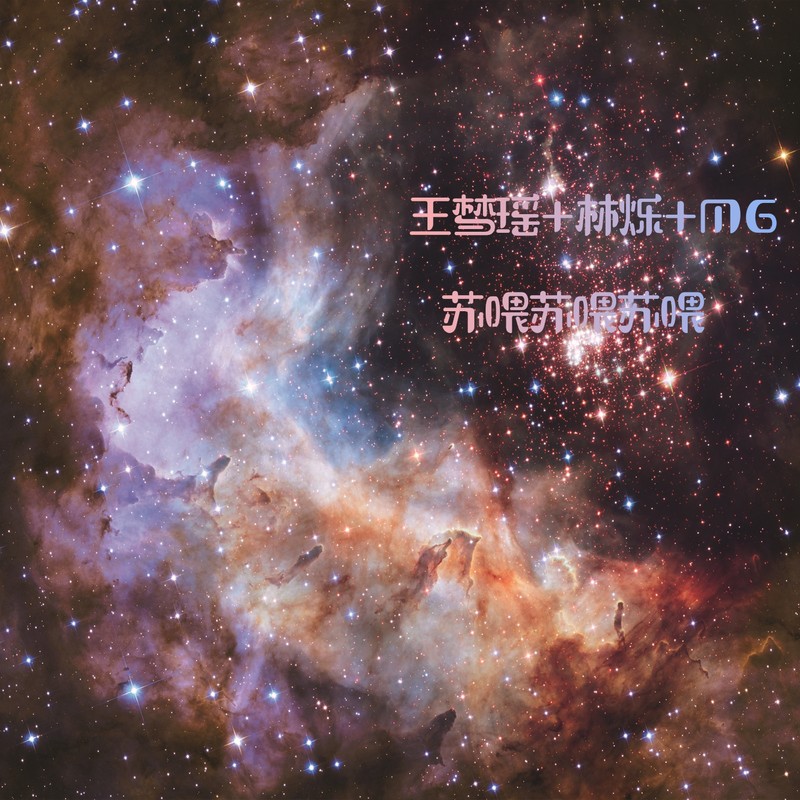 绝版口哨封面