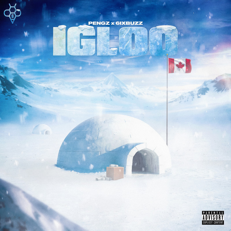 Igloo封面