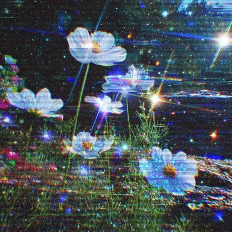 Lowlight封面