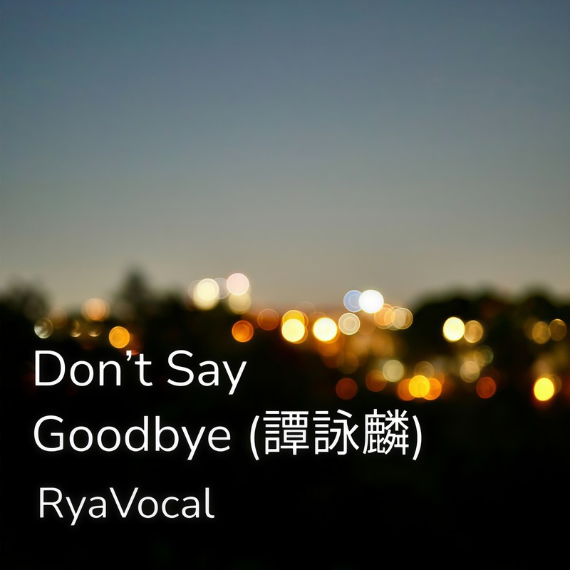 Don'tSayGoodbye封面