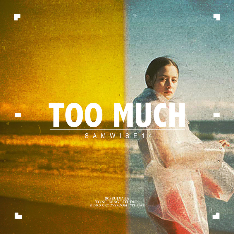 TOO MUCH封面