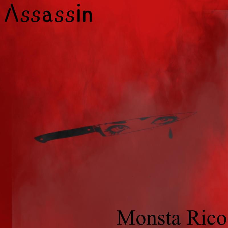 assassin封面