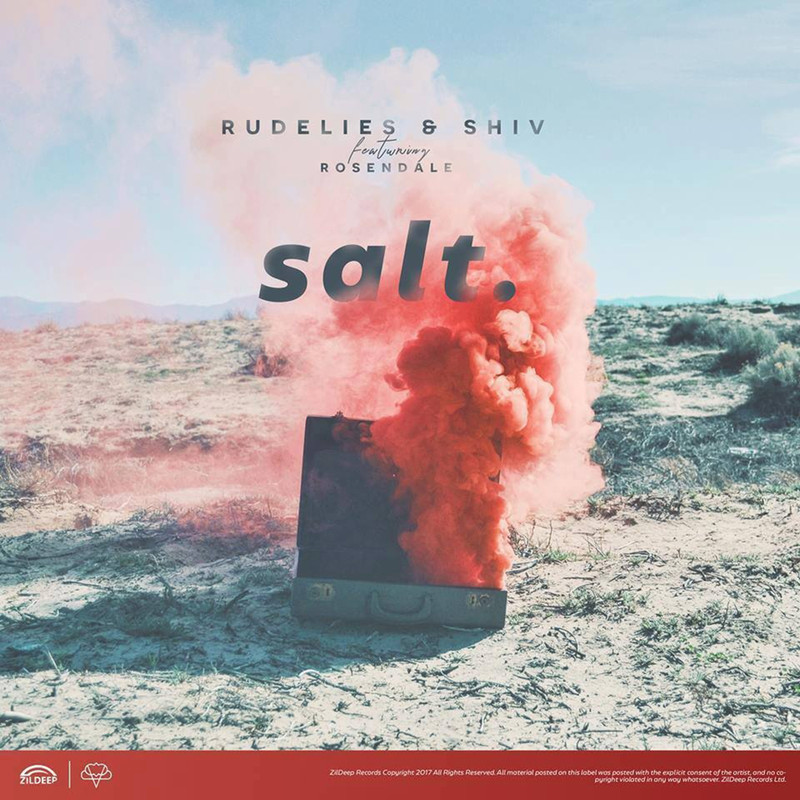 Salt封面