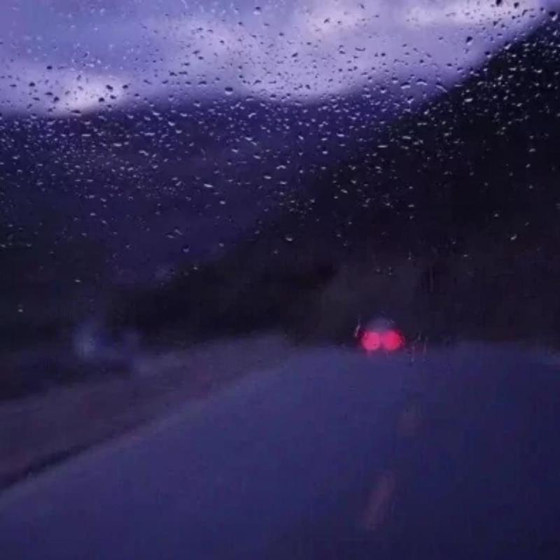 晚夜微雨问海棠封面