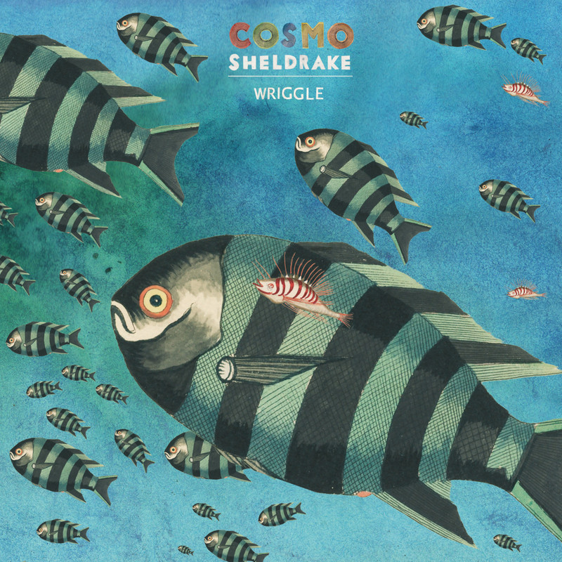 Wriggle封面