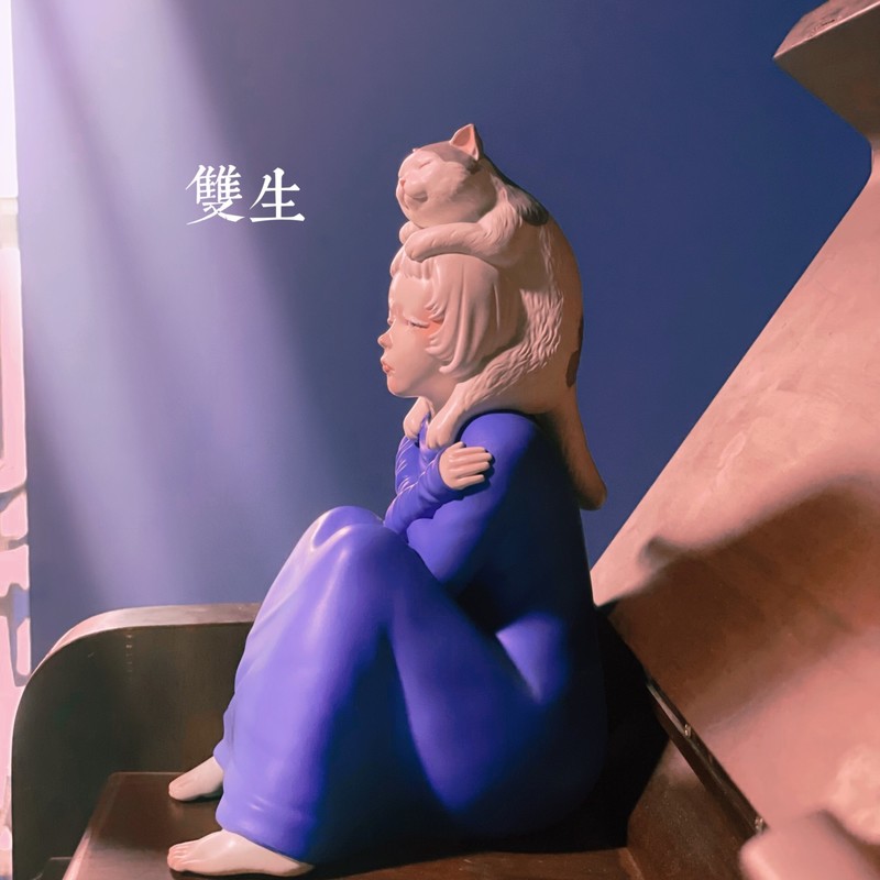 双生封面