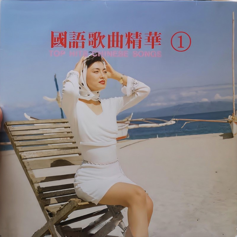 梦难留封面