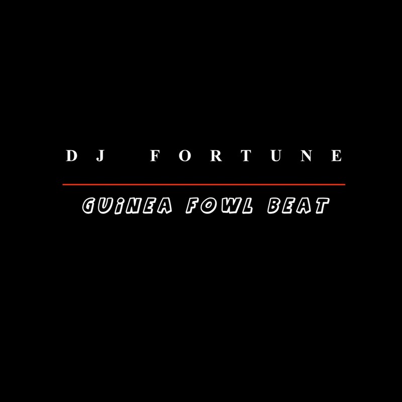 GuineaFowlBeat封面