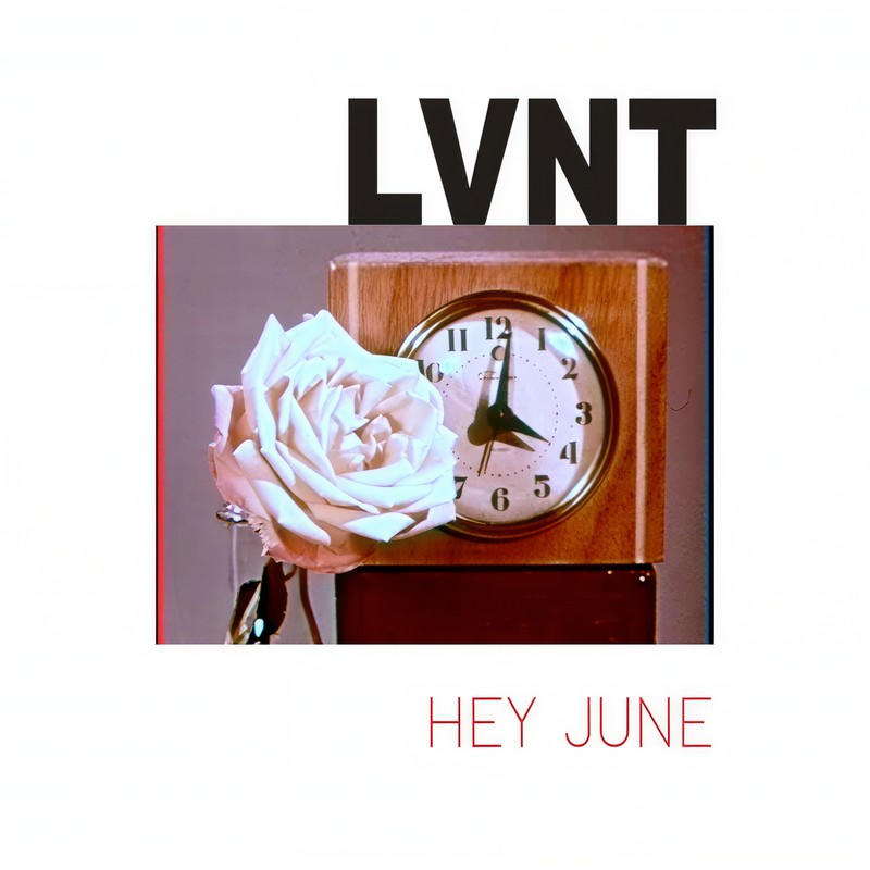 HeyJune封面