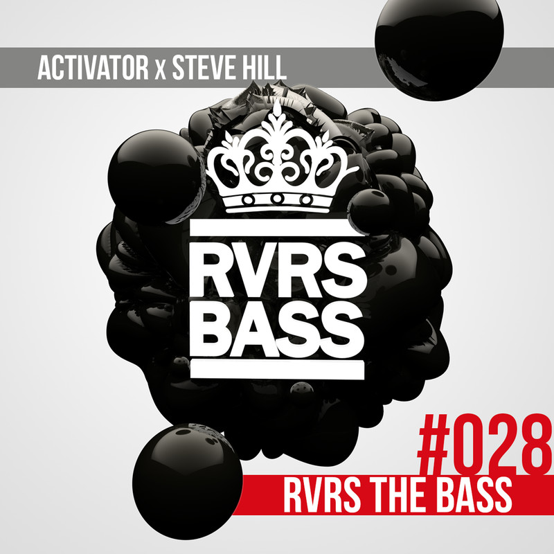 RVRStheBass封面