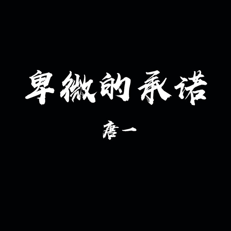 卑微的承诺封面