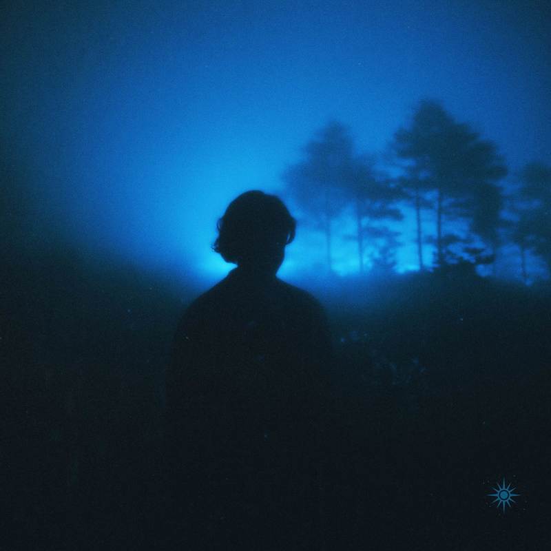 forest封面