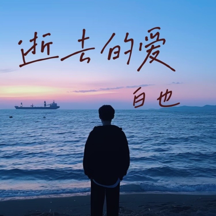 逝去的爱封面