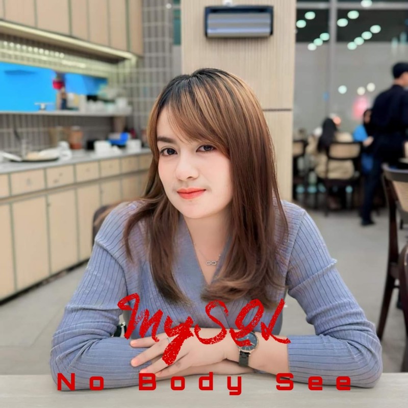 NoBodySee封面
