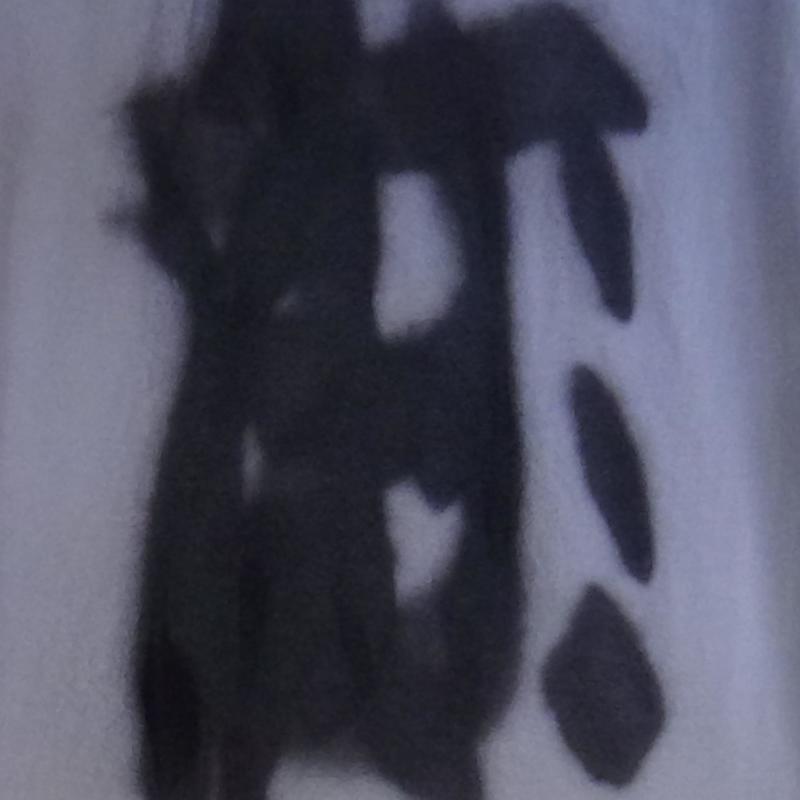 lamb封面