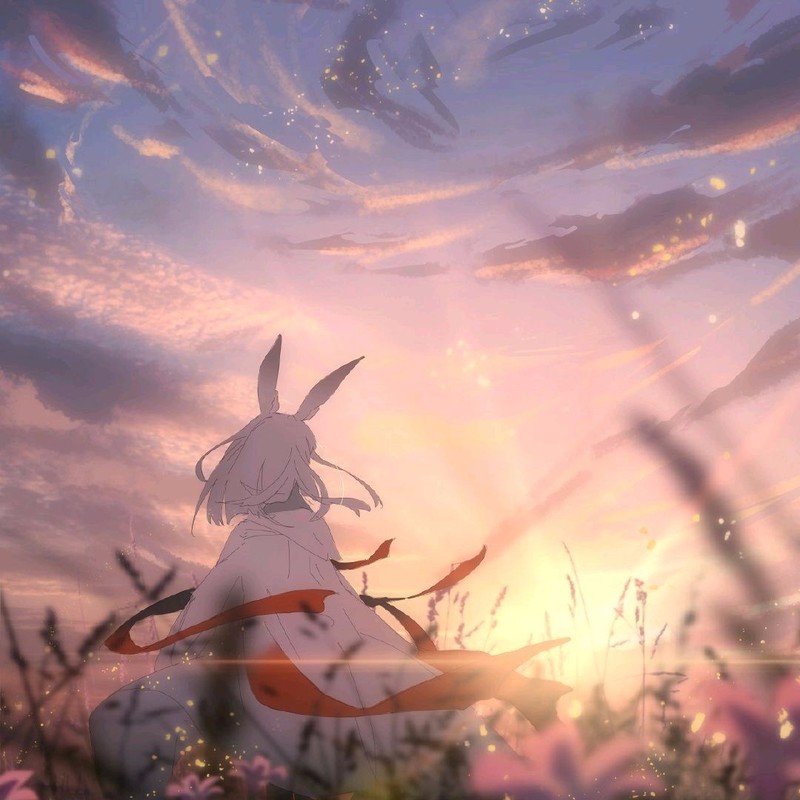 寒霜之晨星封面