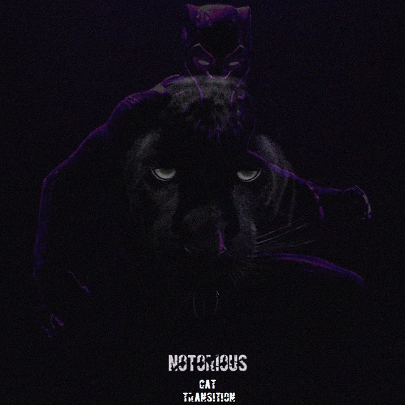 Notorious(CatTransition)封面