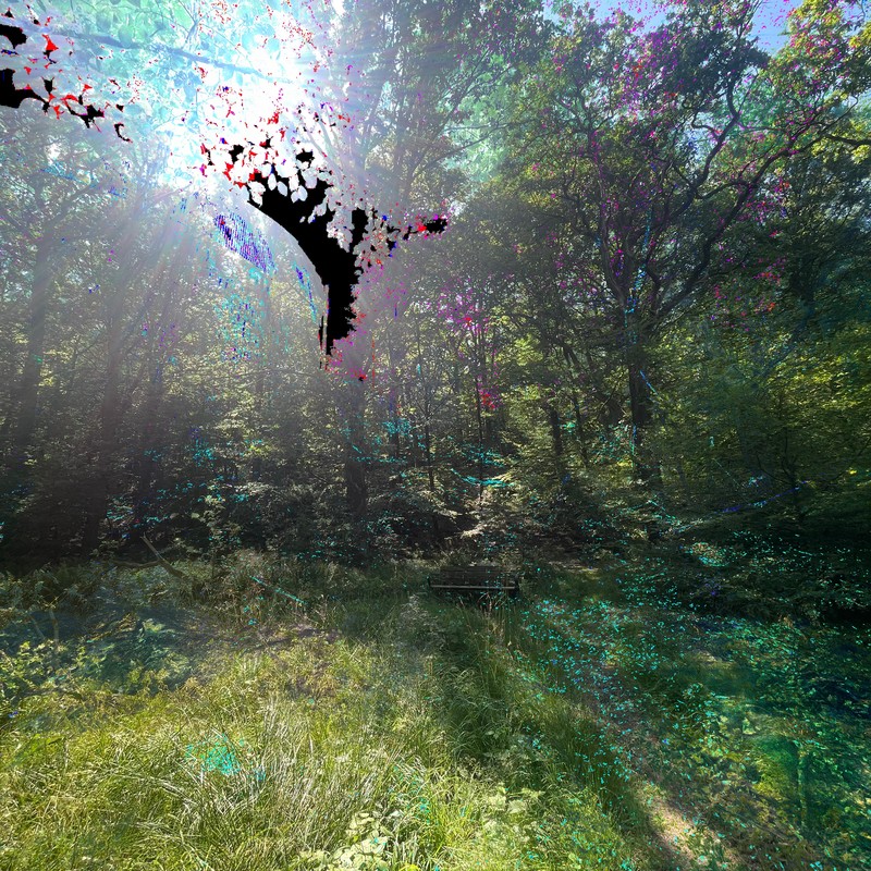 Treetop封面