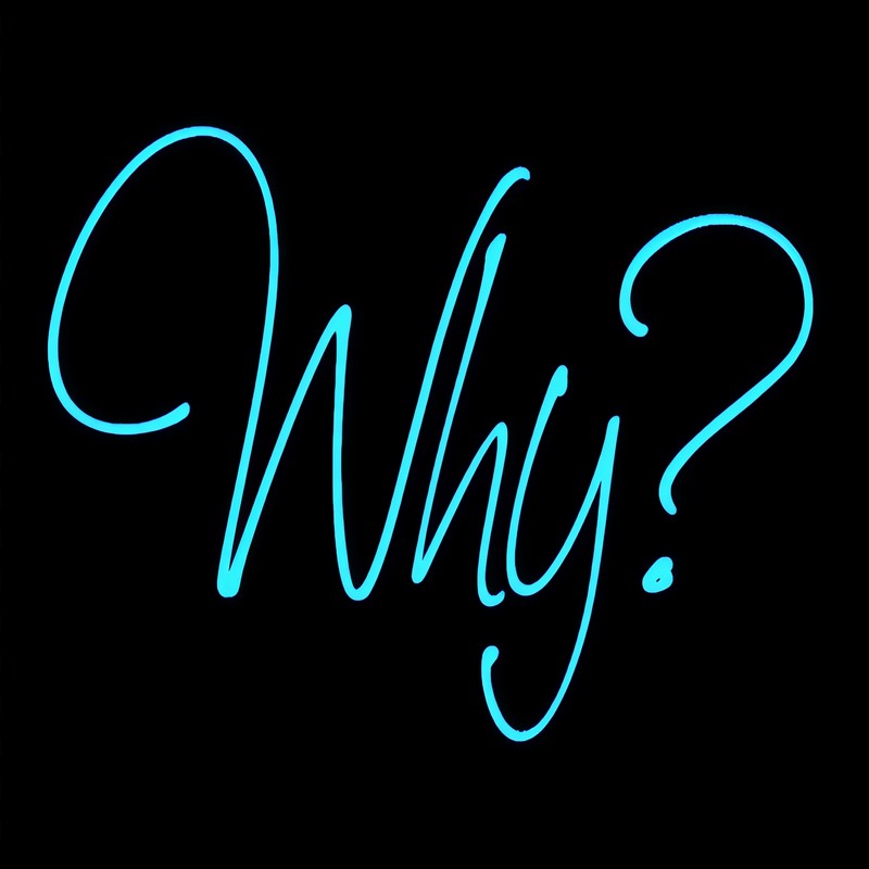 Why封面