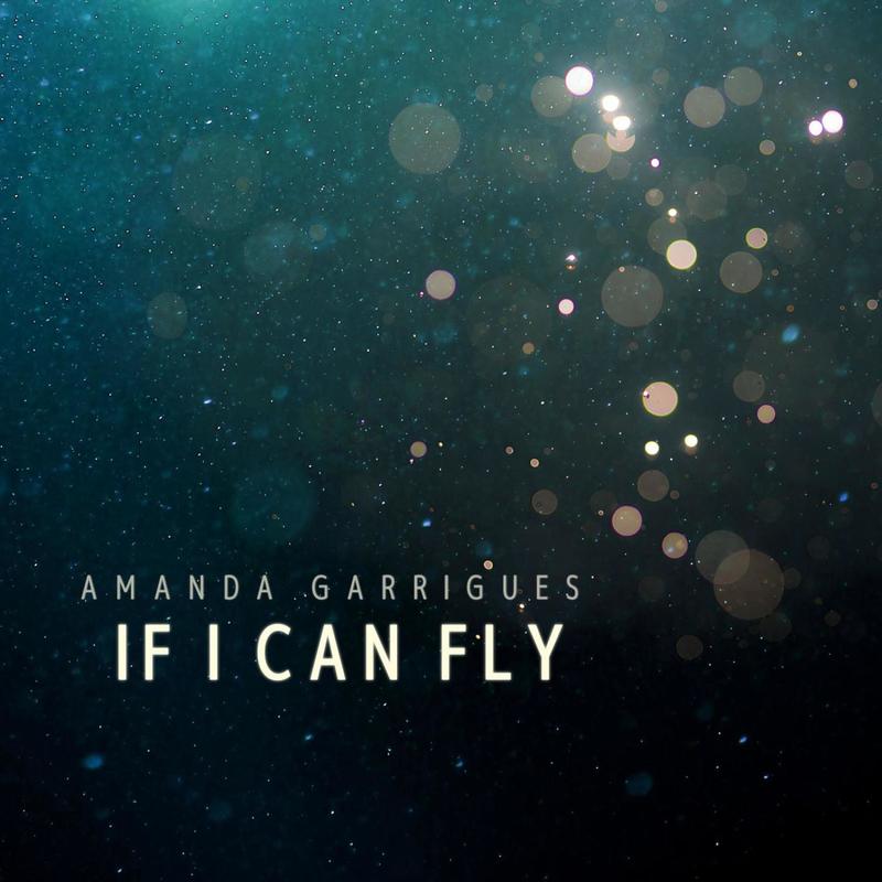 IfICanFly封面