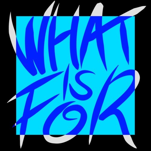 Whatisfor封面