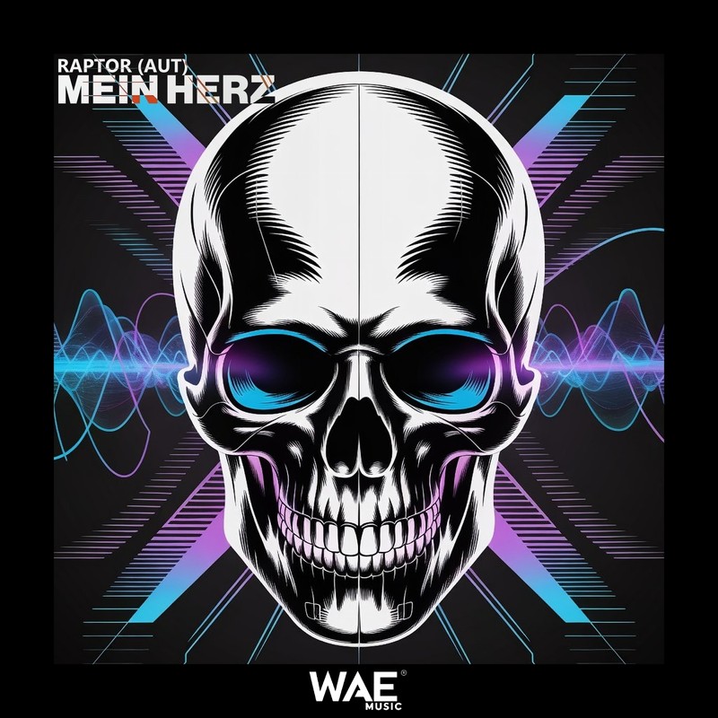 MeinHerz封面