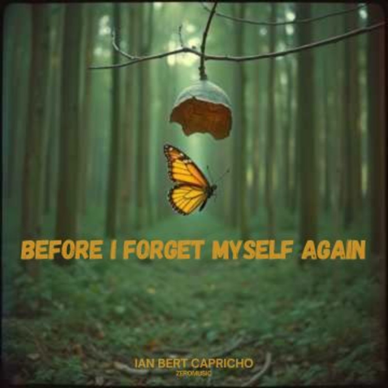 BeforeIForgetMyselfAgain封面