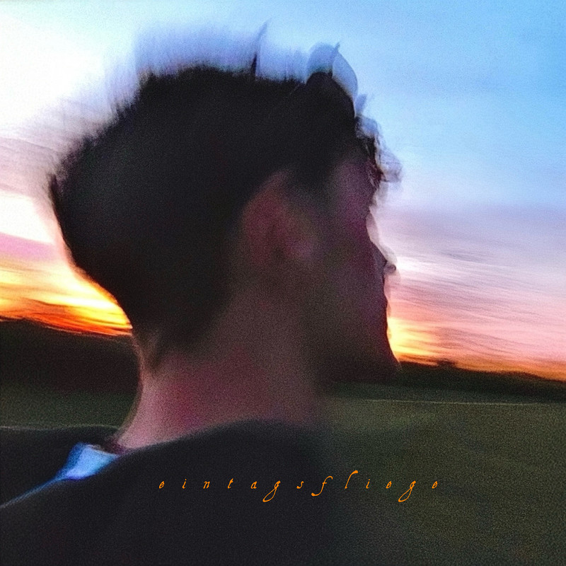 serotonin(Explicit)封面