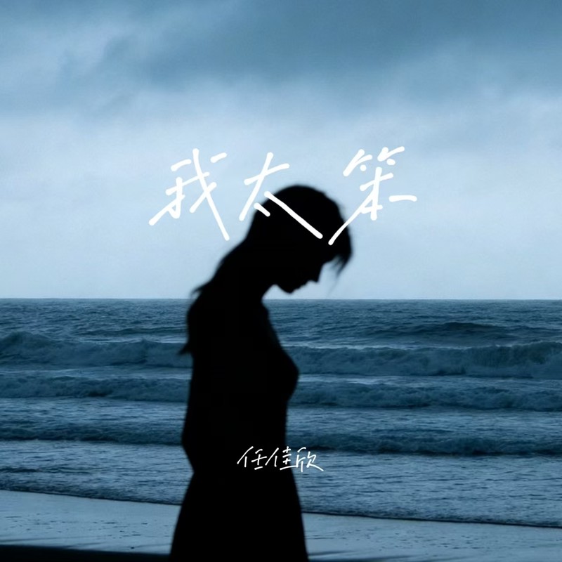 我太笨封面