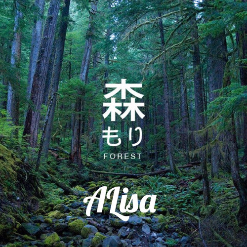 Forest封面