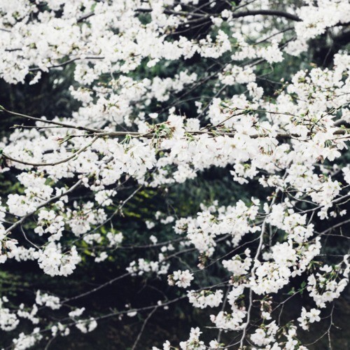 April封面