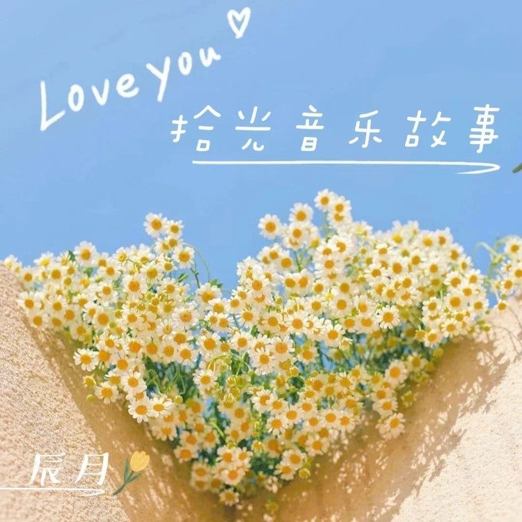 相思调封面