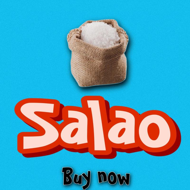 Salao封面