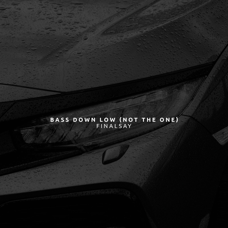 BassDownLow(NotTheOne)封面