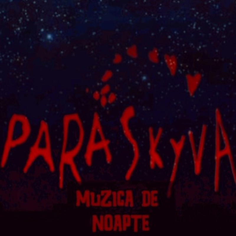ŞiniŞefu封面