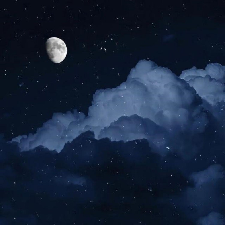 听，是夜晚的呼唤封面