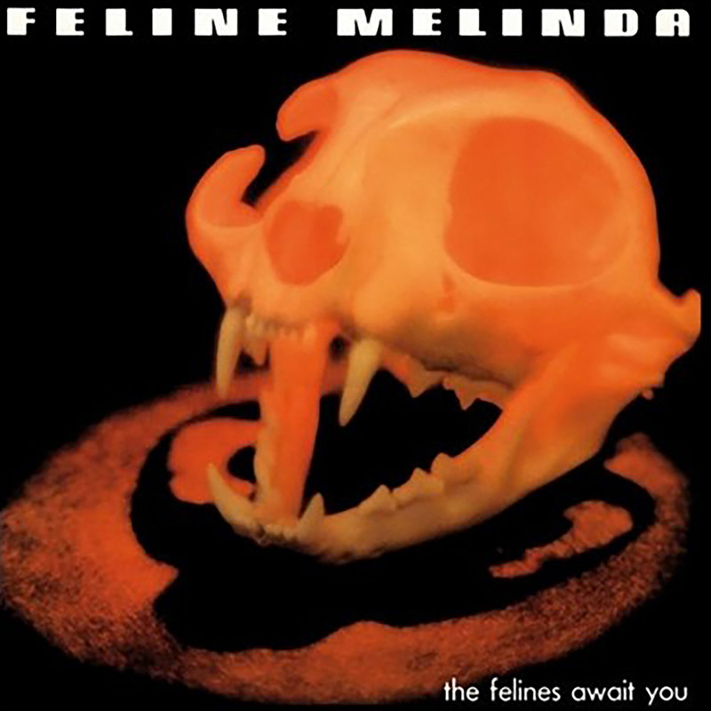 IfYouNeedMe封面