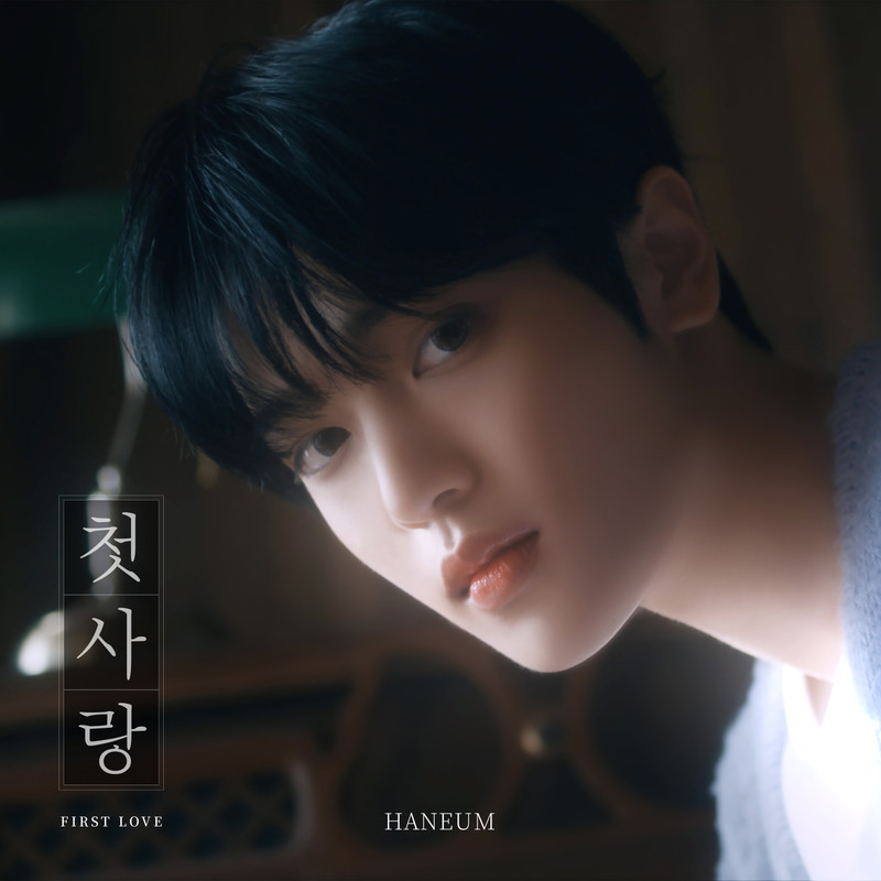 첫사랑(FIRSTLOVE)封面