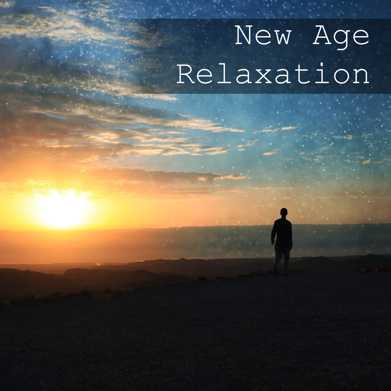 SoftNewAge封面