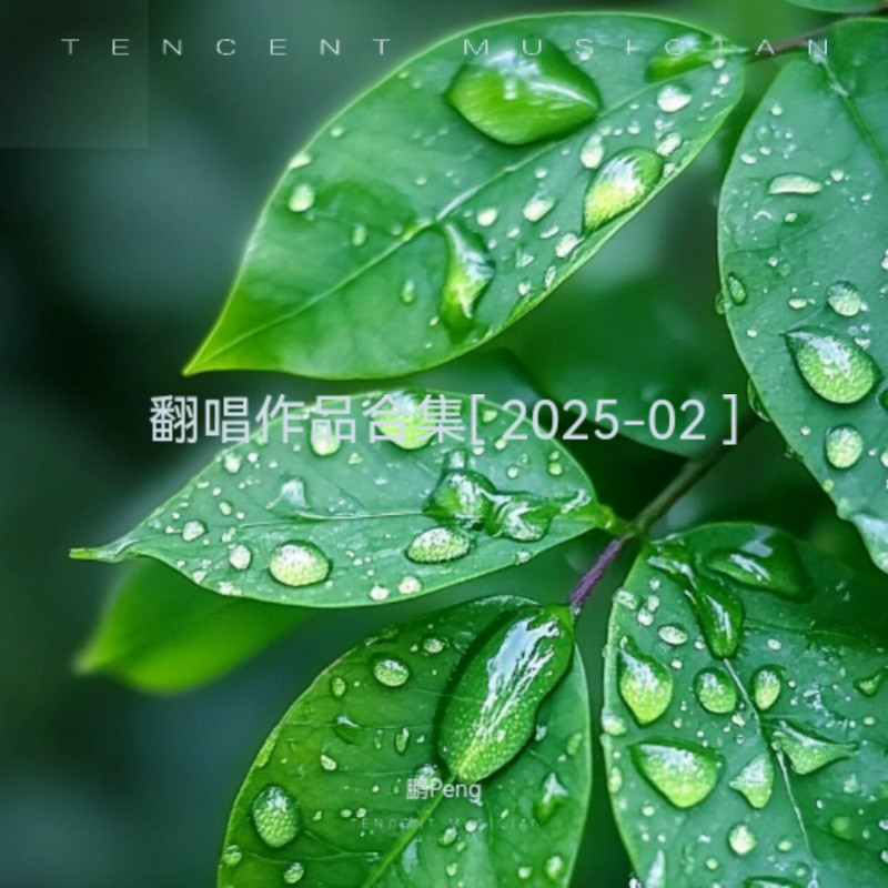 爱天爱地封面