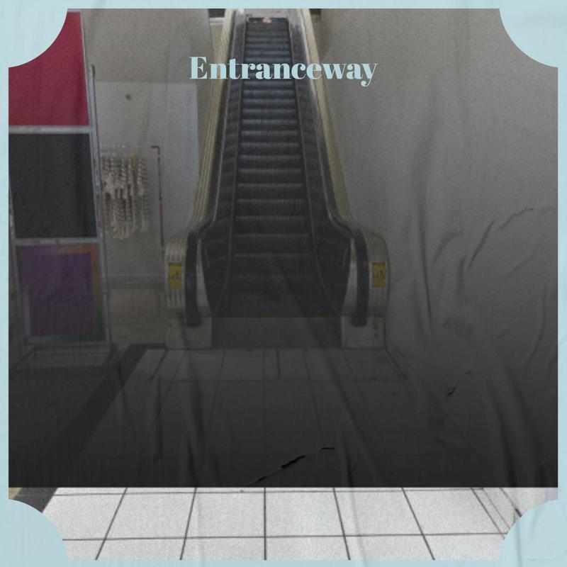 InitiativeRhodophyceae封面
