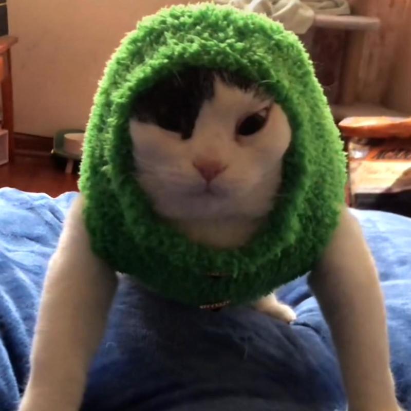 恶作剧封面