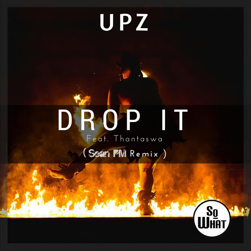 DropIt封面