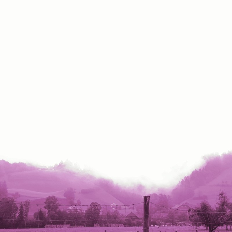 Wandering,Endlessly封面