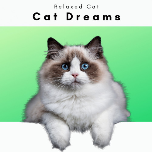 SoothingCatDreamMusicPt.3封面