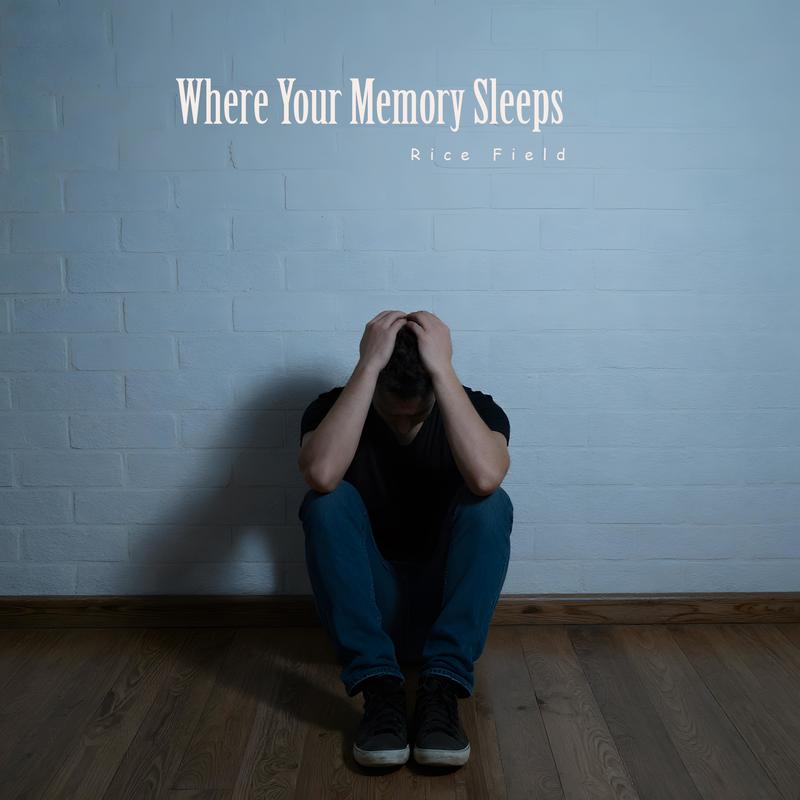 WhereYourMemoryLives封面